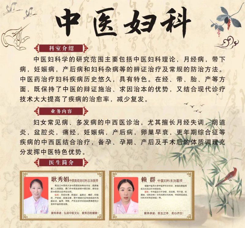 中医医院：传承千年智慧，护佑健康未来